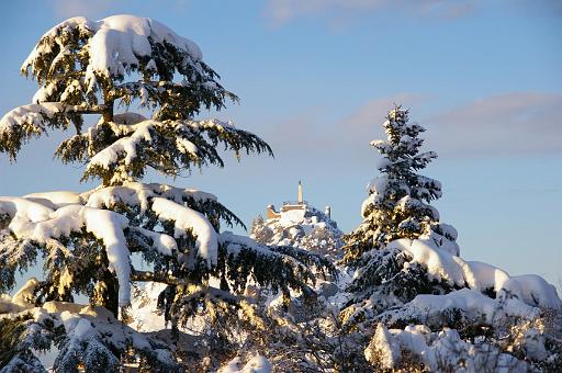 Neve Sebastiano Zingone (6)